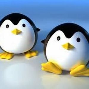 Meet your Posher, Shirley